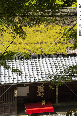 奥嵯峨の春 奥嵯峨の春 71717102