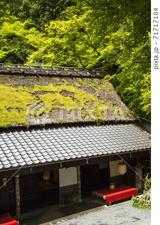 奥嵯峨の春 奥嵯峨の春 71717104
