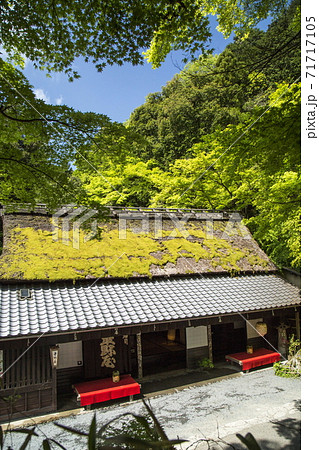 奥嵯峨の春 71717105