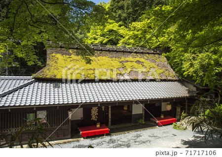 奥嵯峨の春 71717106