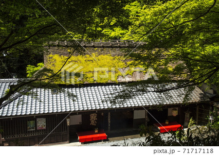 奥嵯峨の春 71717118