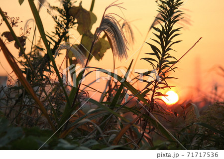 秋の夕暮れの写真素材 [71717536] - PIXTA