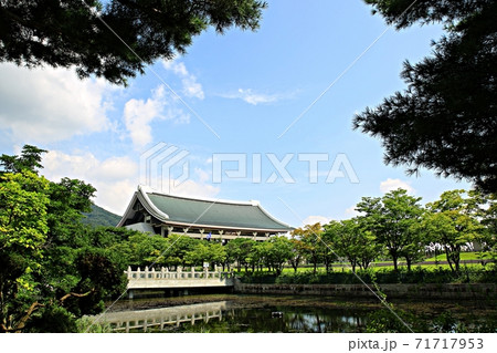 子供 木 韓国 71717953