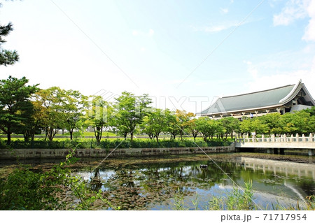 子供 湖 韓国 71717954