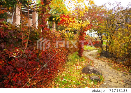 晩秋の定山渓温泉　絶景の二見吊橋　晩秋の定山渓 71718183