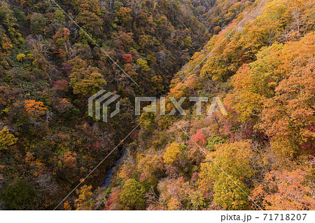 北海道 新登別大橋から見た紅葉の写真素材