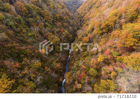 北海道 新登別大橋から見た紅葉 71718210