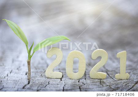 Wood block 2021 and  small plant tree. 71718406