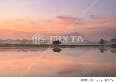 母子島湧水と朝の筑波山 71718475