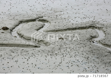 海 水路 漁業 71718567
