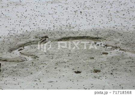 海 漁業 構造物 71718568