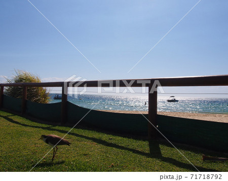 モートン島の絶景ビーチ 71718792