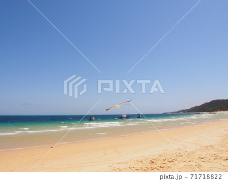 モートン島のビーチとカモメ 71718822