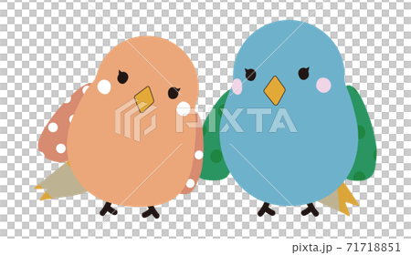 可愛い小鳥の仲良しカップルのイラスト素材