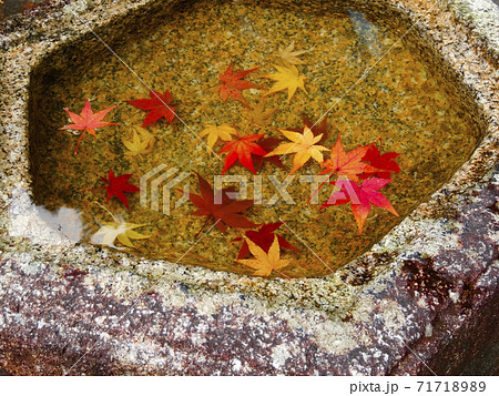 手水鉢の水に浮かぶ紅葉した美しいもみじの葉 180 手水鉢の水に浮かぶ紅葉した美しいもみじの葉 180 71718989