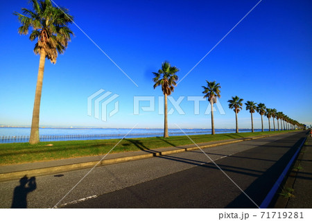 袖ヶ浦海浜公園(チバフォルニア) 袖ヶ浦海浜公園(チバフォルニア) 71719281