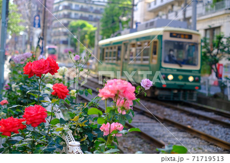 大塚バラロードと都電荒川線 71719513