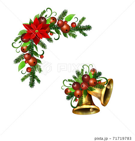 Christmas Holly brunches decoration vector 71719783