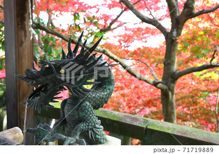 神奈川県_大山寺の手水場_紅葉 71719889