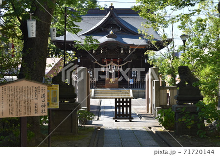 溝口神社 神奈川県川崎市 溝口神社 神奈川県川崎市 71720144