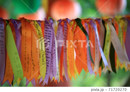 花 秋 万 71720270