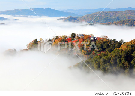 天空の山城4893 71720808