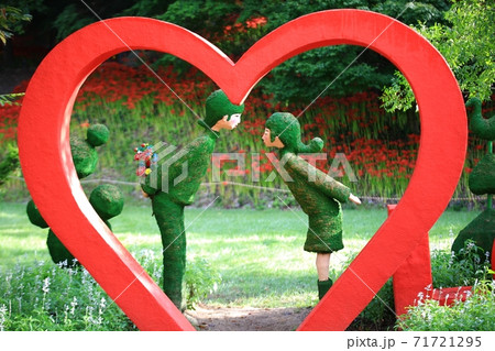 花 万 公園 71721295