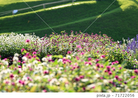 花 公園 万 71722056
