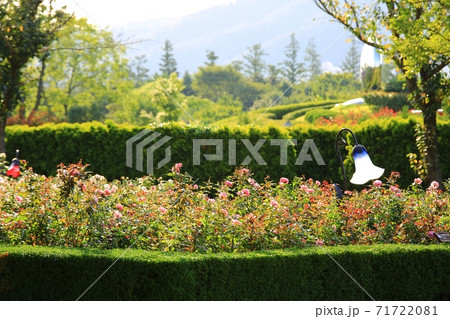 花 公園 万 71722081