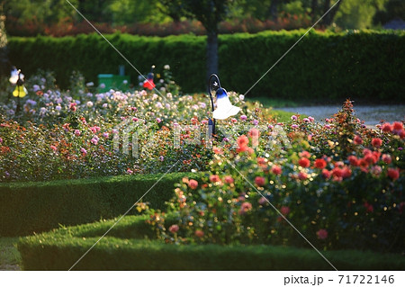 花 公園 万 71722146
