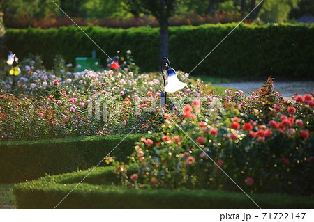 花 公園 万 71722147