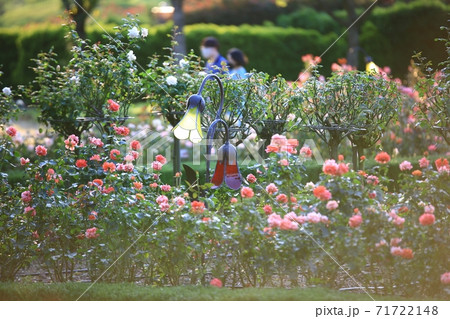 花 公園 万 71722148