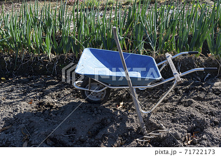 畑の中にある手押し一輪車(ねこ)と鍬 畑の中にある手押し一輪車(ねこ)と鍬 71722173