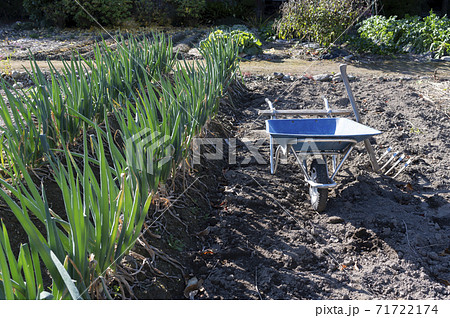 畑の中にある手押し一輪車(ねこ)と鍬 畑の中にある手押し一輪車(ねこ)と鍬 71722174