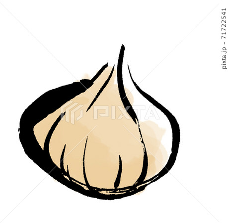 水墨画風 玉ねぎ 水墨画風 玉ねぎ 71722541