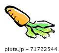 水墨画風 人参 71722544