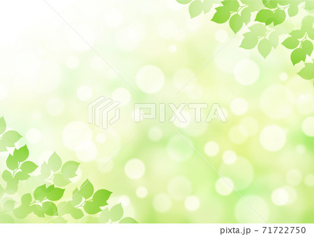 キラキラ背景画像素材 新緑と木漏れ日の背景 横位置 はすむかいのイラスト素材
