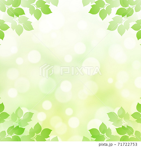 キラキラ背景画像素材 新緑と木漏れ日の背景 正方形 四隅のイラスト素材