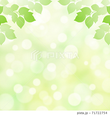 キラキラ背景画像素材 新緑と木漏れ日の背景 正方形 上半分のイラスト素材