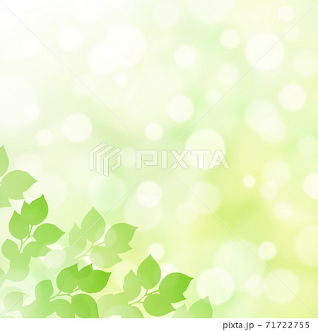 キラキラ背景画像素材 新緑と木漏れ日の背景 正方形 左下のイラスト素材