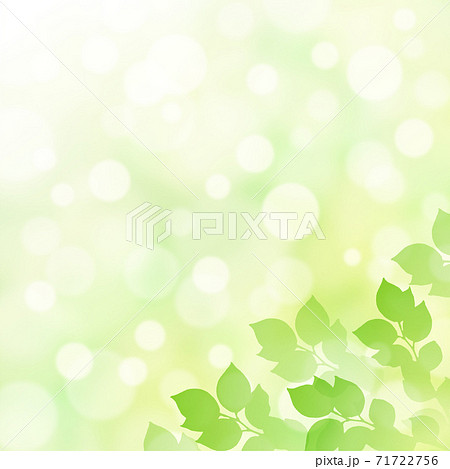 キラキラ背景画像素材 新緑と木漏れ日の背景 正方形 右下のイラスト素材
