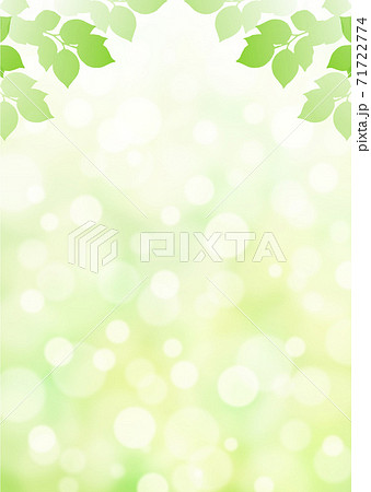 キラキラ背景画像素材 新緑と木漏れ日の背景 縦位置 上のイラスト素材