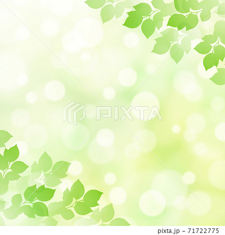 キラキラ背景画像素材 新緑と木漏れ日の背景 正方形 はすむかいのイラスト素材