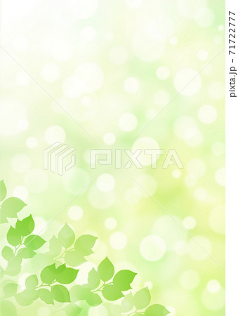 キラキラ背景画像素材 新緑と木漏れ日の背景 縦位置 左下のイラスト素材