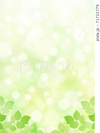 キラキラ背景画像素材 新緑と木漏れ日の背景 縦位置 下のイラスト素材
