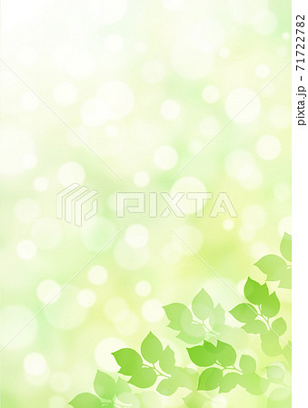 キラキラ背景画像素材 新緑と木漏れ日の背景 縦位置 右下のイラスト素材