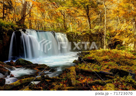錦秋の奥入瀬渓流銚子大滝 錦秋の奥入瀬渓流銚子大滝 71723070