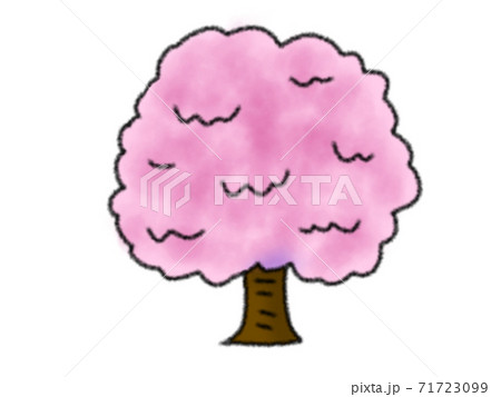桜 71723099