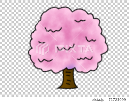 桜 71723099