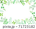 グリーンの草花の囲みフレーム　水彩イラストのトレースベクター 71723182